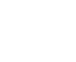 WU logo white 2556x2088